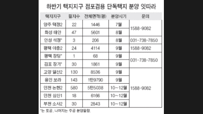 '점포겸용 택지' 분양 많다