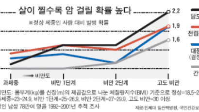 고도 비만 → 암 확률 2배