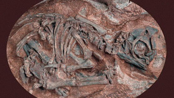 가장 오래 된 공룡 태아 화석