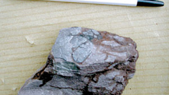 백악기 전기 공룡알 둥지 화석 발견