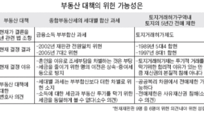 '세대 합산 종부세' 위헌 논란