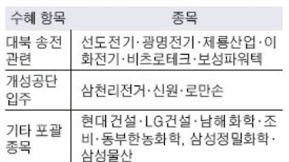 [이 업종] 남북경협주 날갯짓