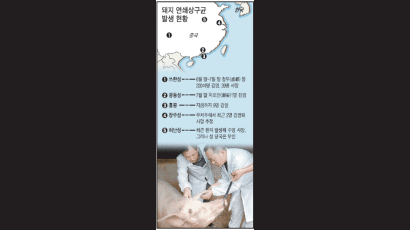 홍콩 수퍼마켓서도 '돼지 괴질'