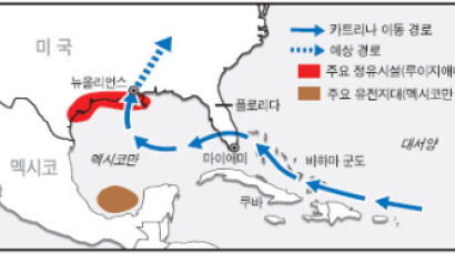 세계 경제 덮친 허리케인