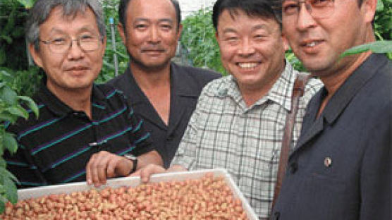 [사랑의 감자꽃을 피워요] 下. 감자에 승부수 던진 북한