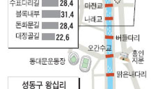 '천변풍경'프리미엄…청계천 주변 땅값 껑충