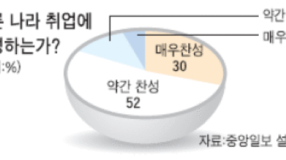 [한국사회 100대 드라마 ⑩국제] 94. 지구촌 뛰는 수퍼 한국인
