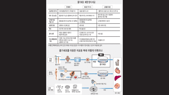 '냉동배아서 줄기세포 추출' 미국서 특허