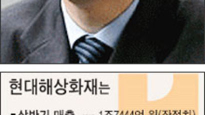 [현대해상 50돌의 정열] "국내는 좁다, 미국·인도 진출"