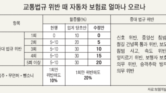 교통위반 보험료 할증 완화… 3회 30% → 5회 20%