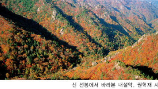 [week& cover story] '사람과 산' 추천 7…늦기 전에 이곳은