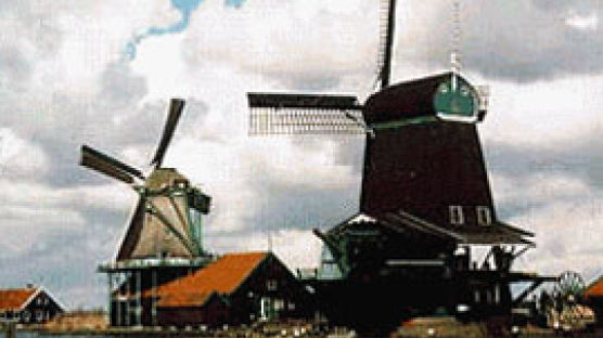 네덜란드 풍차 사라진다?