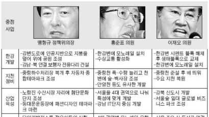 서울시장 노리는 한나라당 후보들 '청계천 식 공약' 경쟁