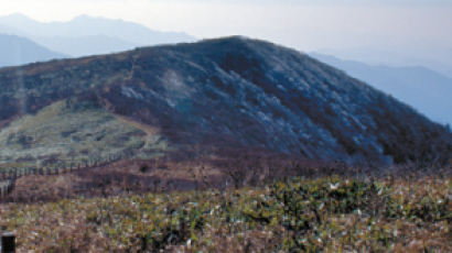 [성시윤 기자의 고갯마루 얘기마루] 덕유산 동엽령