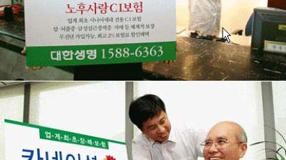 '새시장 개척' 불루오션 보험 잇따라