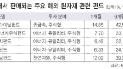 금값 뛰니 금 펀드도 ‘금값’