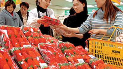[장바구니물가] 딸기값 작년보다 20% 비싸