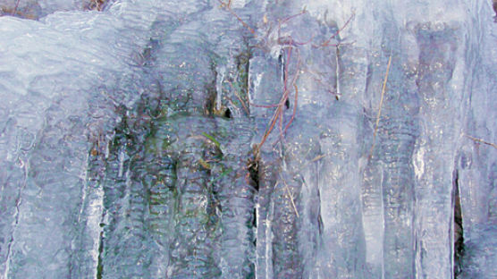 [사진] '부산 얼음 벽'