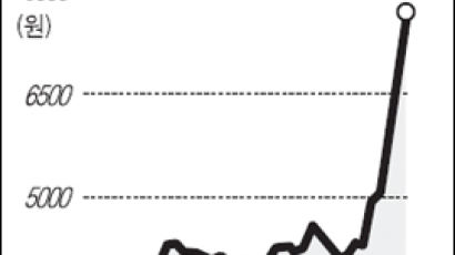 [이업종] 2006년 실적 '확실한 종목' 와이브로 관련주 강세