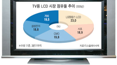LG필립스, TV용 LCD '새 역사' 누적판매 1000만장 첫 돌파