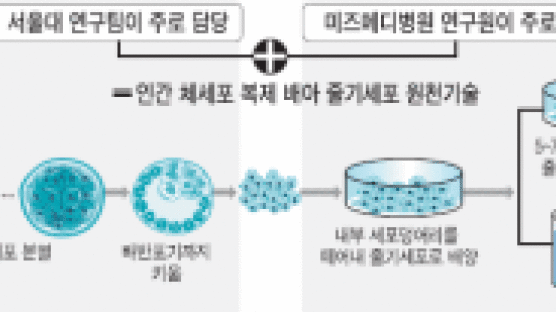 황 교수팀 '원천기술' 논란 가열