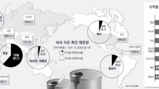 러시아·중국 … '에너지 대국' 국제 무대 흔든다