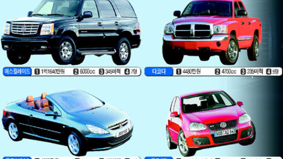 한국시장 '빈틈' 누비는 외국차들