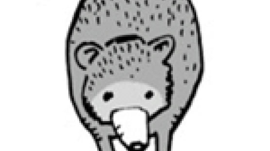 [분수대] 곰의 포옹