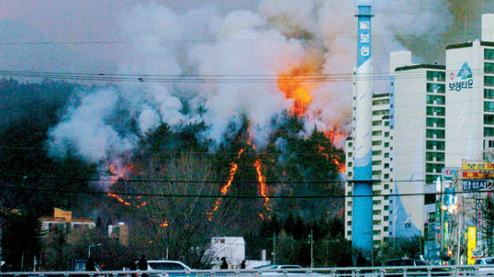 [사진] 팔공산 산불 … 40여 명 대피