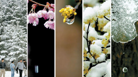 [사진] 3월, 어느 봄날의 풍경