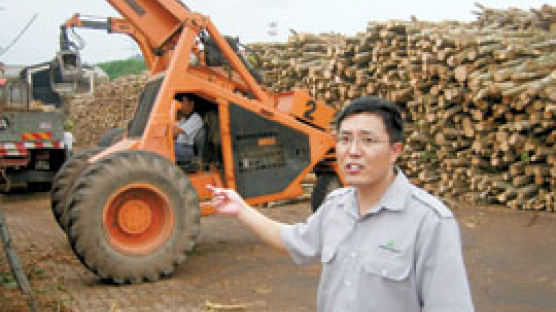 밀림으로 간 '한국 나무꾼'