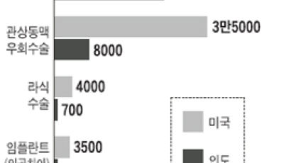 미국 불임 부부들 "인도로 간다"