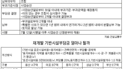 7월 도입 재개발 기반시설부담금 … 서울 용산 가구 당 3000만원 넘을 듯