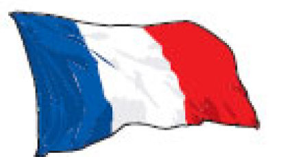 한국 G조 상대국 현지 표정 - 프랑스