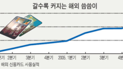 1분기 외국서 카드사용 첫 10억 달러 … 해외여행 씀씀이 확 커졌다