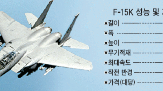 최신예 전투기 F-15K 추락