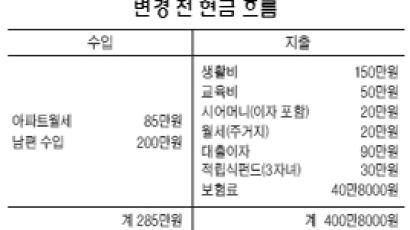 [재산리모델링] 대출 끼고 산 아파트 두 채 이자 부담 너무 큰데 …