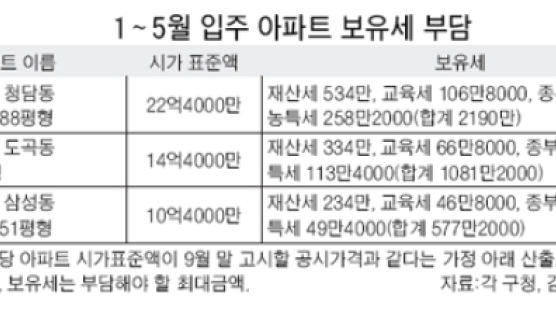 2006년 입주 강남 아파트도 '보유세 쇼크'