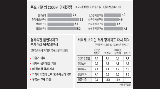 [뉴스분석] 정부는 5% 성장 내다보지만 민간 연구소는 4%대 예상