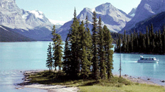 울창한 자연 느끼는 캐나다 관광