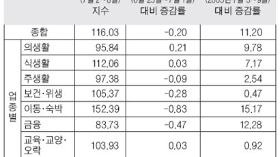 소비경기 지난주 다시 하락 … Joins-SK 지수 0.2% 내린 116.03