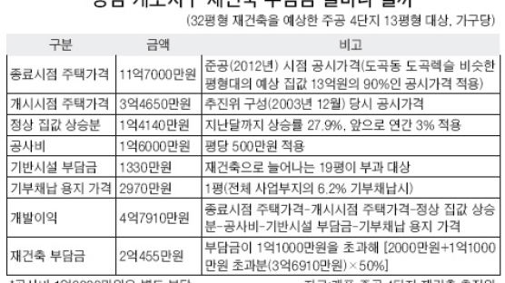 "13평 → 32평 재건축 땐 3억6000만원 현금 내야"