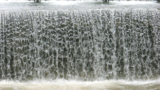 [사진] 폭우로 물이 불어난 청계천