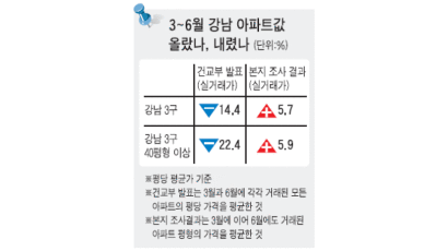 14.4% 내렸다던 강남 3구 아파트 실거래가 실제론 5.7% 올랐다