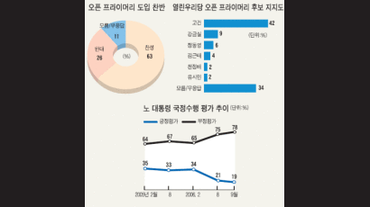 열린우리당 대선 후보 '오픈 프라이머리' 땐 …