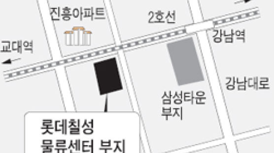 [지금그곳에선] 서울 서초구 롯데칠성 물류센터 땅