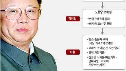 미 하원 정보위 "김정일 개인재산 40억 달러"