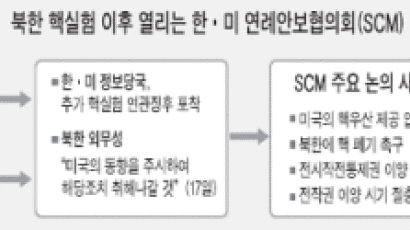 한국 정부, 2005년 10월 SCM서 '핵우산 표현' 삭제 요구했었다