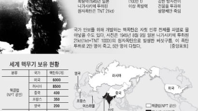 [NIE] 북한의 핵실험 깊이 보기