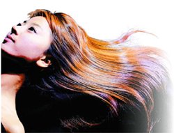 Family] 낙엽처럼 푸석푸석 … 머리카락도 가을타네 | 중앙일보